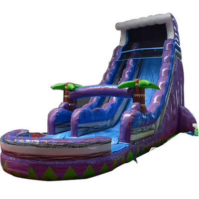 2023 Promoção Deslizamento de terra íngreme Árvore de palma mágica Slide de água roxo Inflavel com piscina