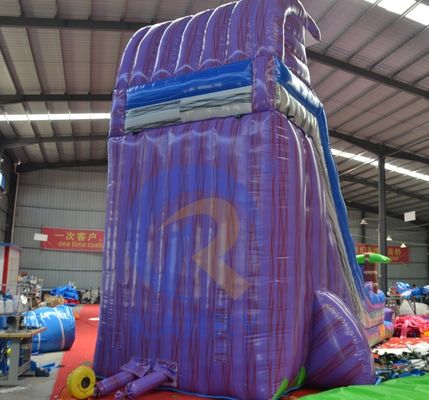 2023 Promoção Deslizamento de terra íngreme Árvore de palma mágica Slide de água roxo Inflavel com piscina