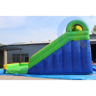 Atração CE EN14960 Certificado Leopard Print Arch Slides infláveis de água com piscina