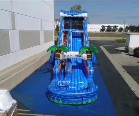 Equipamento de parque aquático com slides infláveis Trá-la para o seu quintal