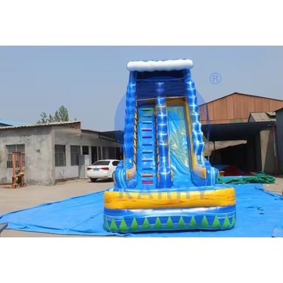 Salto de água inflável de 18 pés para adultos com piscina e palmeira