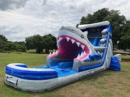 Equipamentos populares de parque aquático inflável Big Blue 3D Shark Water Slides com piscina