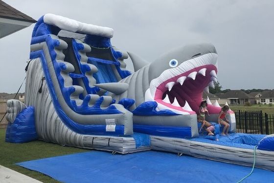 Equipamentos populares de parque aquático inflável Big Blue 3D Shark Water Slides com piscina