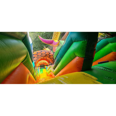 Desembaçador inflável para diversão infantil no parque ao ar livre