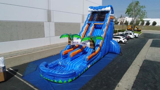 Ocasião Comercial Inflável Jogos Mármore Palmeira Bouncer Slide para brincar ao ar livre