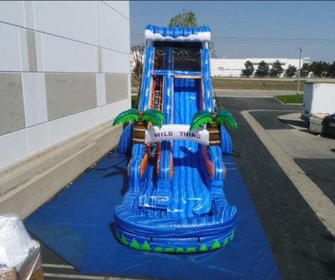 Ocasião Comercial Inflável Jogos Mármore Palmeira Bouncer Slide para brincar ao ar livre
