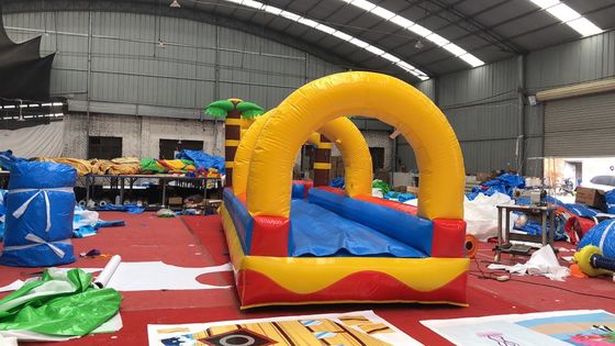 0.55mm PVC Tarpaulin Flat Slide Palm Tree Commercial Slide de água inflável para adultos