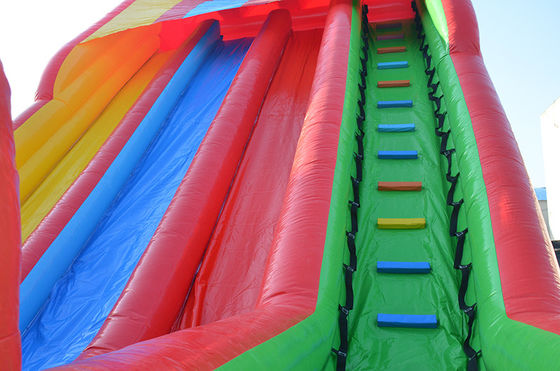Desenho personalizado Temática tropical Slide de água inflável com piscina para crianças e adultos