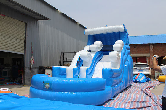 Desenho personalizado Temática tropical Slide de água inflável com piscina para crianças e adultos