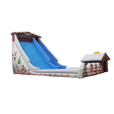 Desenho personalizado Temática tropical Slide de água inflável com piscina para crianças e adultos