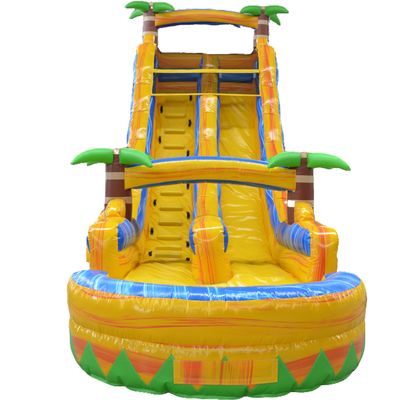 Ocasião comercial Palmeira multicolorida Slide de água inflável com piscina pequena