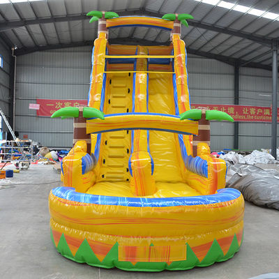 Ocasião comercial Palmeira multicolorida Slide de água inflável com piscina pequena
