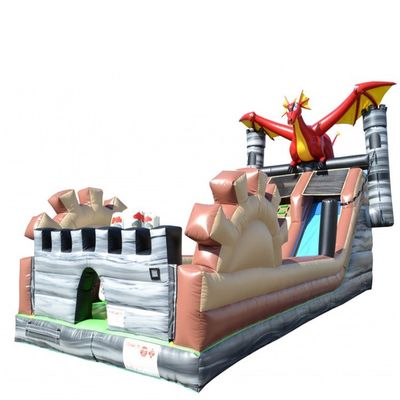 Slide de salto inflável ao ar livre com piscina e porta-bandeiras de impressão