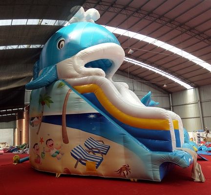 Impressão digital bebê inflável Dubai Water Slide com capacidade máxima 100-500kg