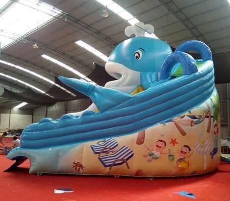 Impressão digital bebê inflável Dubai Water Slide com capacidade máxima 100-500kg