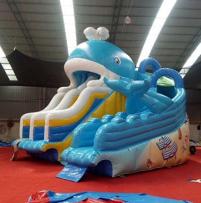 Impressão digital bebê inflável Dubai Water Slide com capacidade máxima 100-500kg