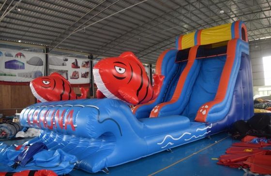 Ocasiões comerciais Salto inflável de água com piscina 2 Salto de carpas