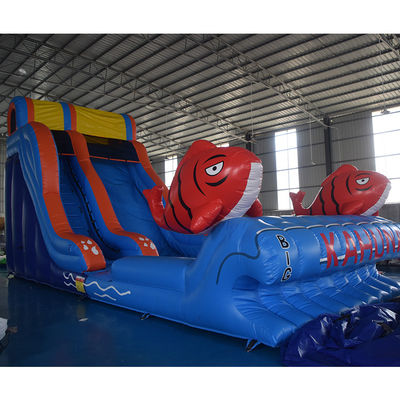 Ocasiões comerciais Salto inflável de água com piscina 2 Salto de carpas