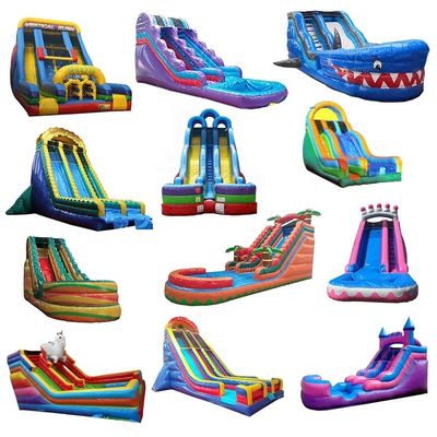 Bouncy Castle Water Slide Crocodile Creek Piscina de água inflável e Slide Jumping Castle