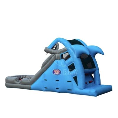 Impressão personalizada Slide de água inflável Capacidade máxima 100-500kg para parque infantil infantil