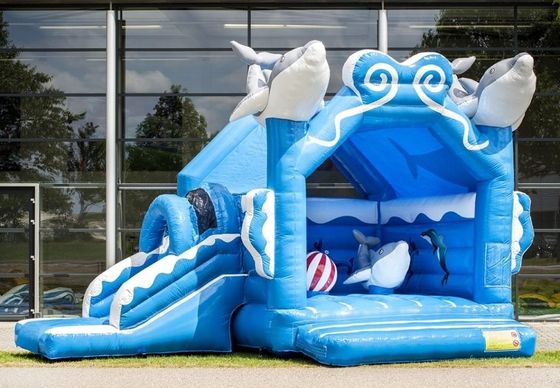 Castelo há 14 anos popular Rainbow Unicorn Castelo de salto com slide combo