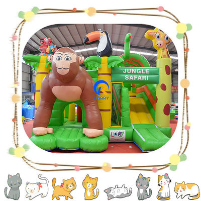 Castelo inflável de cores personalizadas Salto comercial combo Slide e Castelo de salto