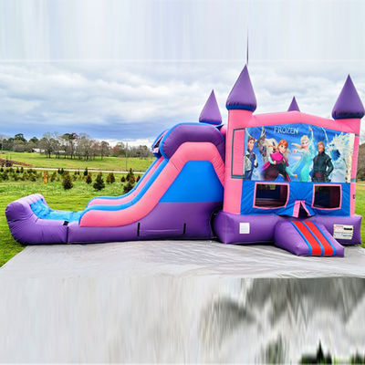 Área de Jogos ao Ar Livre Inflável Castelo Bouncing Congelado com Slide Commercial de Grau Durável