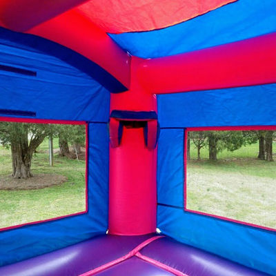 Área de Jogos ao Ar Livre Inflável Castelo Bouncing Congelado com Slide Commercial de Grau Durável