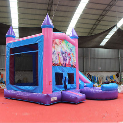 14 Anos de idade Personalizado inflável casa de saltos castelo para crianças e adultos tema de desenho animado