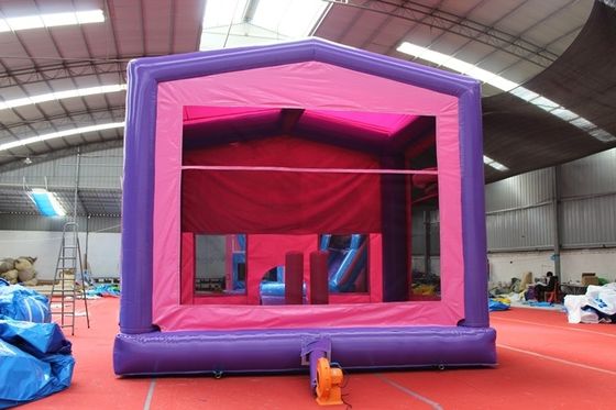 Unisex Frozen Inflatable Castle Bouncer House com cores opcionais