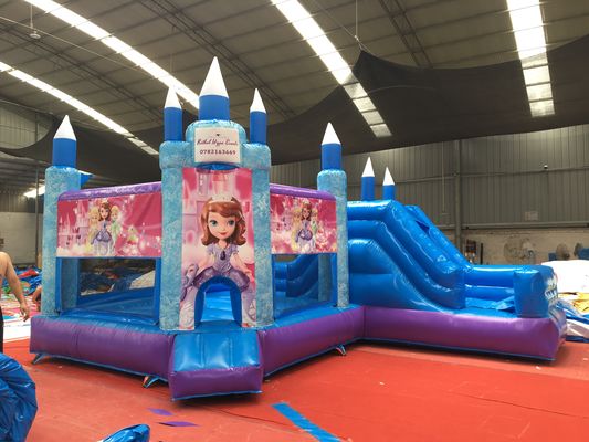 Festa de Princesa Quente Castelo Salto com Slide PVC Equipamento de Jardim Comercial