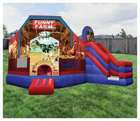 Características PORTABLE Carrossel Gigante Castelo Bouncy Combo Slide com cor personalizada