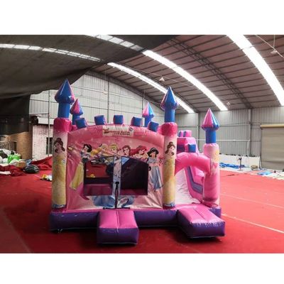 5*5*4.2m Slide para Princesa Rosa