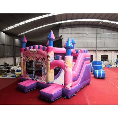 5*5*4.2m Slide para Princesa Rosa