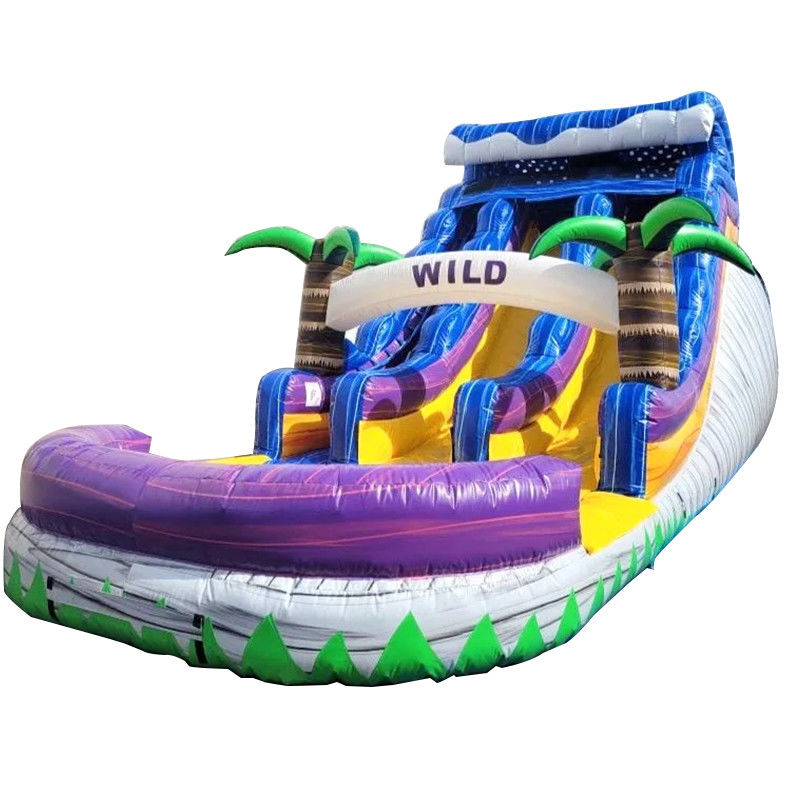 Piscina grande Slide infantil de salto Festa de casa Palmeiras tropicais comerciais Slide de água com dois deslizamentos